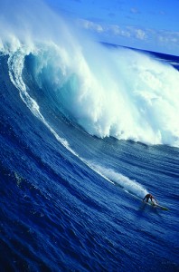Dave Kalama by Erik Aeder