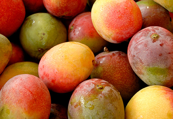 Mangoes